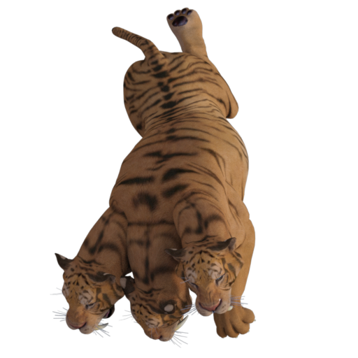 Big Cats 1 token art by Emily Smirle